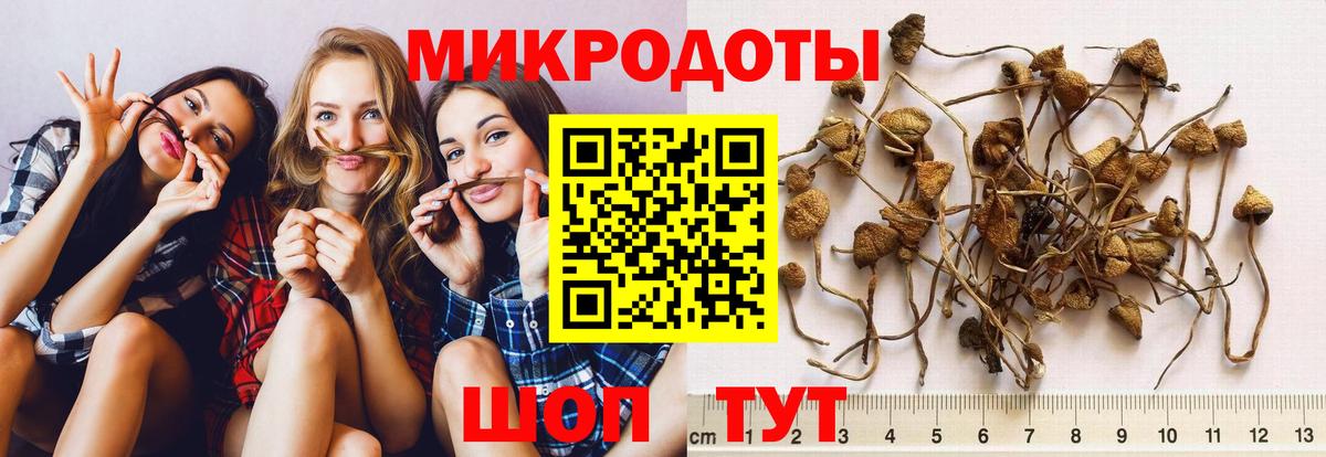 Псилоцибиновые грибы ЛСД Асбест